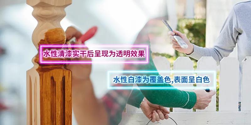 1642732128746945.jpg 3.jpg